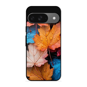 Colourfull Leaves Google Pixel 9