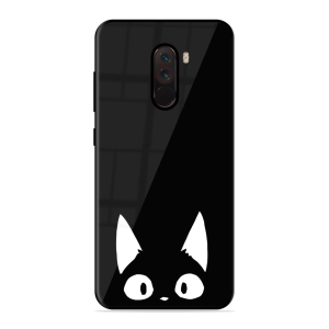 The Kitty Poco F1